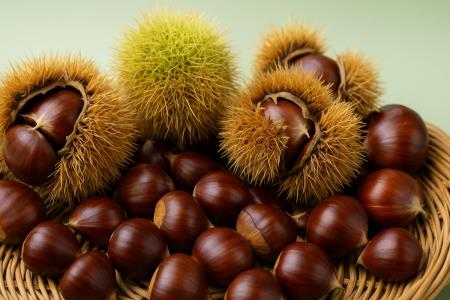 Kastanien: Eines der ältesten Lebensmittel der Welt – und ein Herbstgenuss, der lange satt macht
